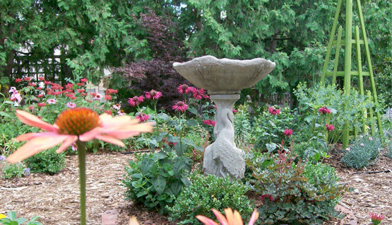 555x318_section_image_our_philosophy 555x318_section_image_our_philosophy